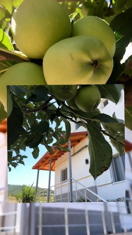 Hotel Apostoli Πρεμετή Αλβανία