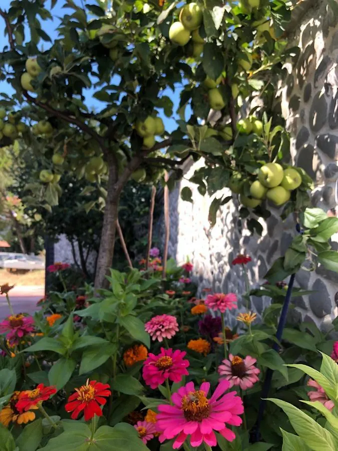 Hotel Apostoli Përmet Albania